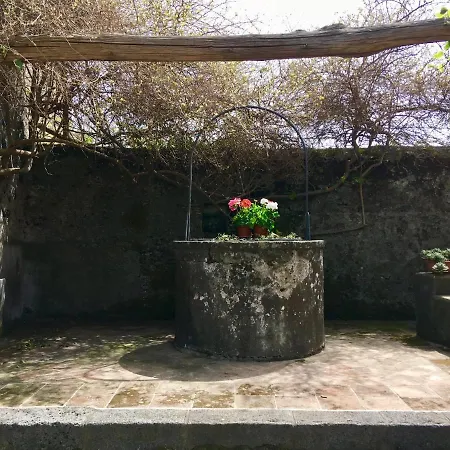 Lejlighed Casa Camelia *